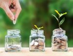 Saving investments grow plant 