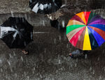 umbrellas colours