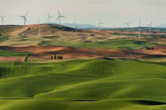 wind farm field